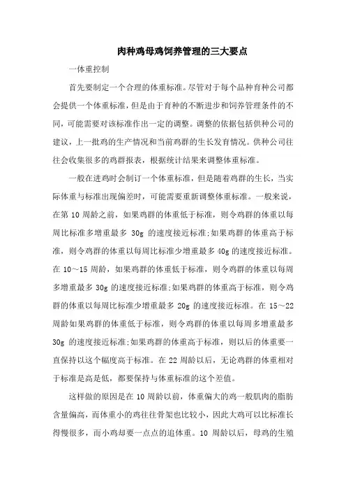 肉种鸡母鸡饲养管理的三大要点