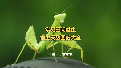 田间益虫图解(横版)
