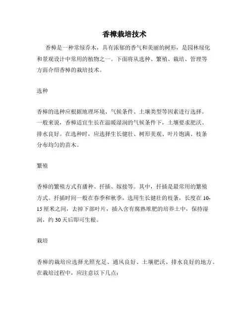 香樟栽培技术