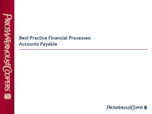 PWC的全球最佳财务实践 FIN-ap  Best Practice Financial Processes Accounts Payable