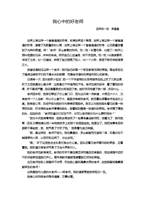 我心中的好老师-罗星星作文