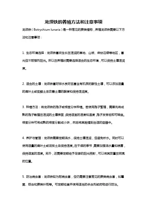 龙须铁的养殖方法和注意事项