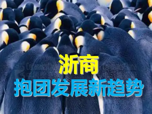 浙商抱团发展的新趋势