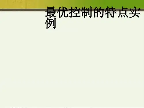 最优控制的特点实例
