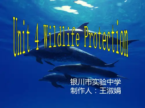 人教版高中英语Book 2 Unit 4 wildlife protection warming u