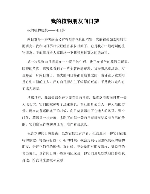我的植物朋友向日葵