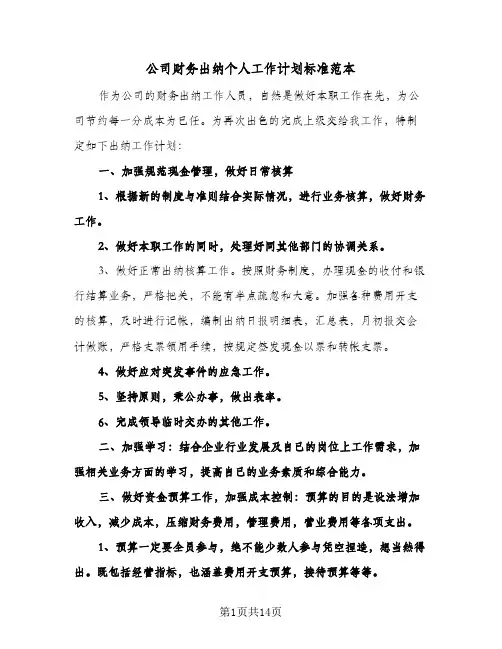 2024年公司财务出纳个人工作计划标准范本（五篇）