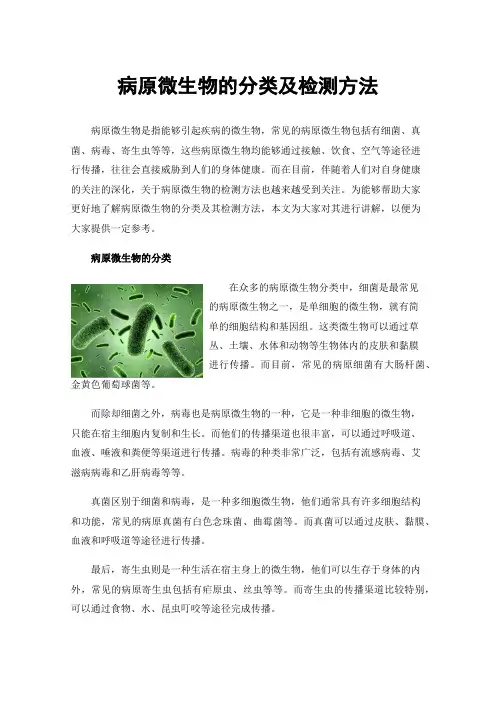 病原微生物的分类及检测方法
