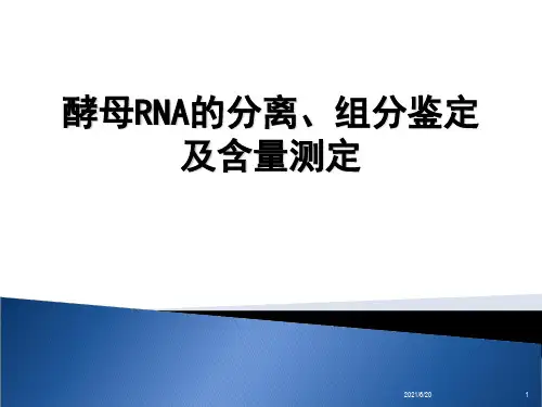 生物化学实验-酵母RNA的分离、组分鉴定及含量分析