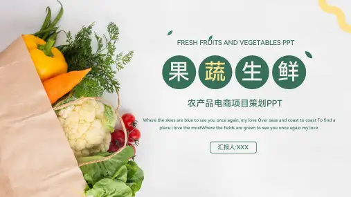 农产品果蔬生鲜电商项目策划ppt