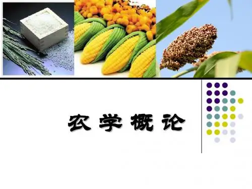 农学概论-1