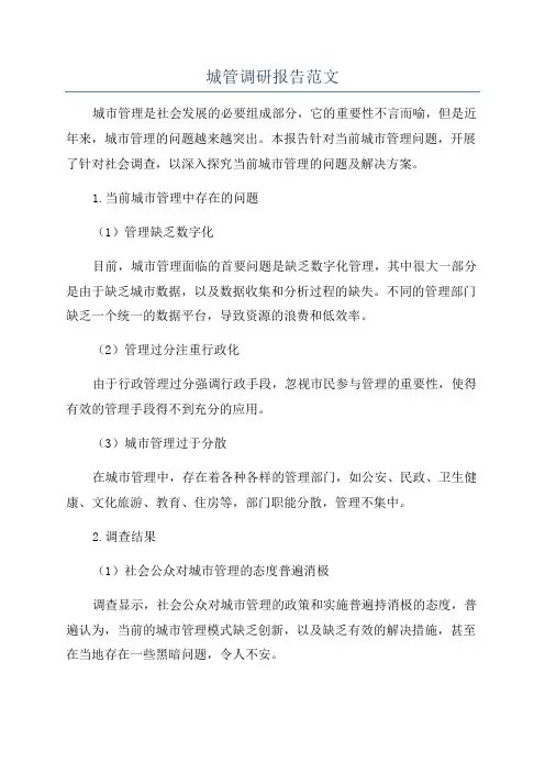 城管调研报告范文