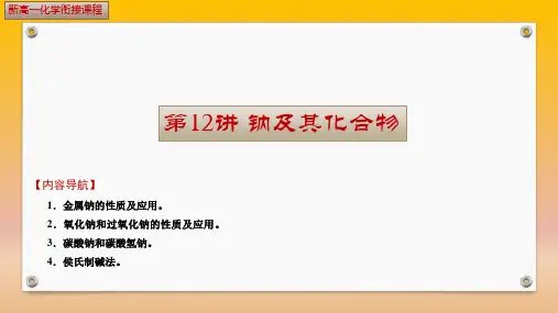 第12讲 钠及其化合物(课件)高一化学(全国通用)