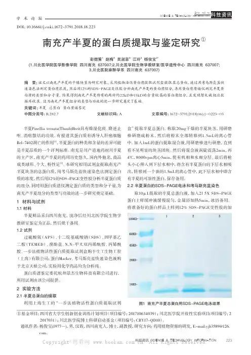 南充产半夏的蛋白质提取与鉴定研究