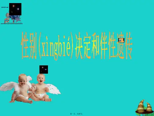 高中生物第三册第8章遗传与变异8.2伴性遗传课件3沪科版