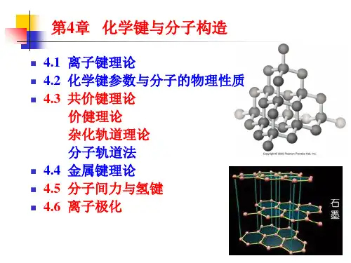 分子结构价键和杂化轨道理论