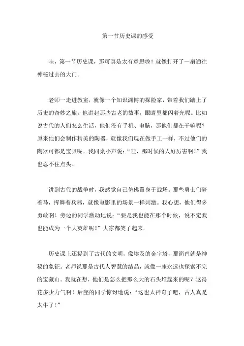 第一节历史课的感受