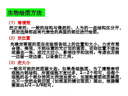 细胞生物绘图PPT课件