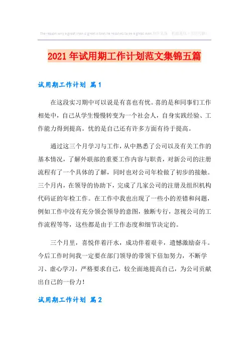 2021年试用期工作计划范文集锦五篇