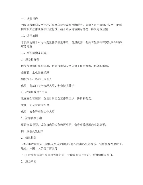 水电站安全应急预案方案