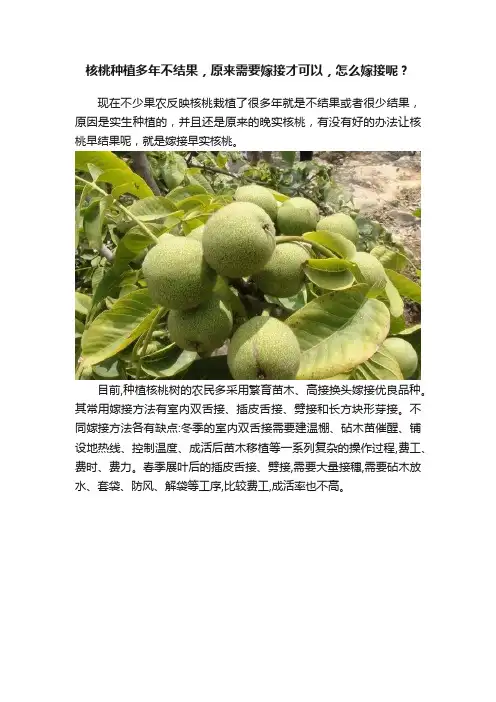 核桃种植多年不结果，原来需要嫁接才可以，怎么嫁接呢？