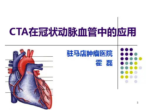 冠状动脉CTAPPT课件