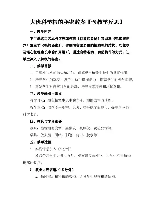 大班科学根的秘密教案【含教学反思】