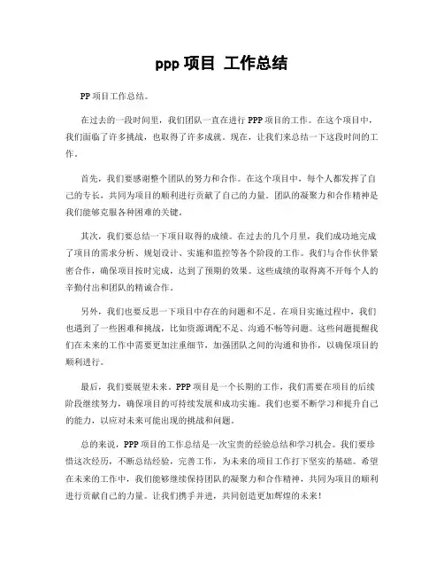 ppp项目 工作总结