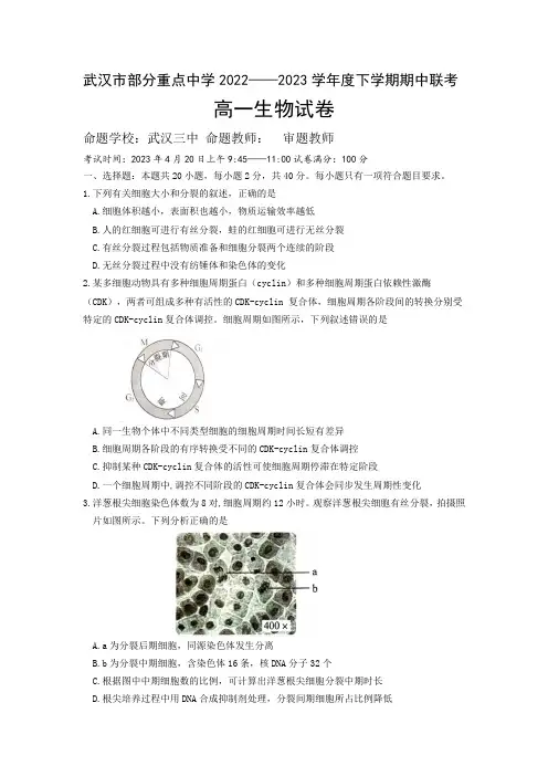 2022-2023学年湖北省武汉市部分重点中学高一下学期期中联考生物试题