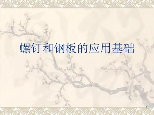 螺钉与钢板ppt课件