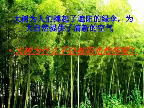 第二节蒸腾作用(13张)(济南版)