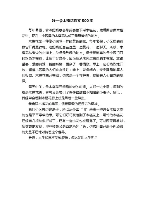好一朵木槿花作文500字