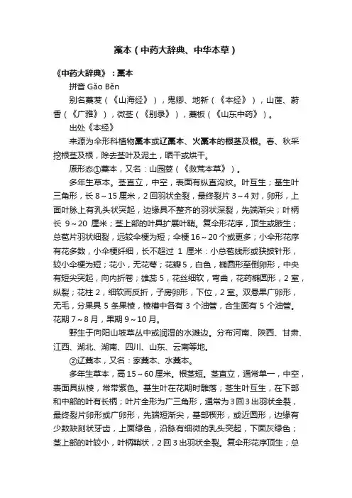藁本（中药大辞典、中华本草）