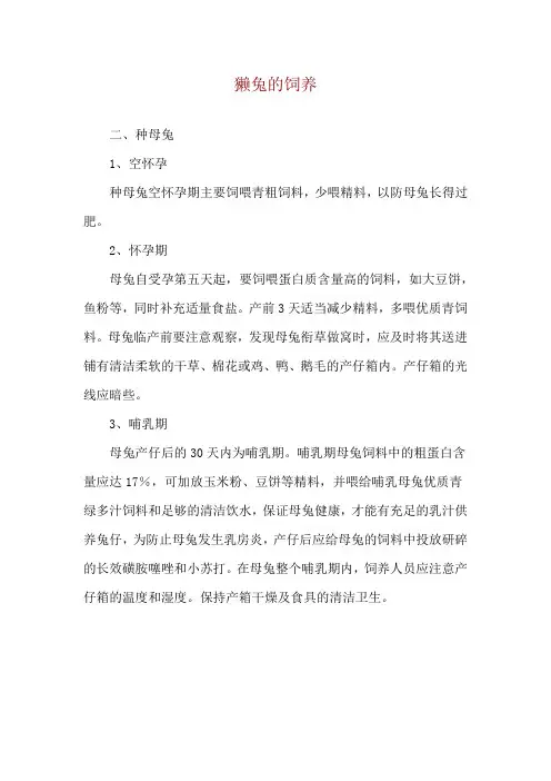 獭兔的饲养