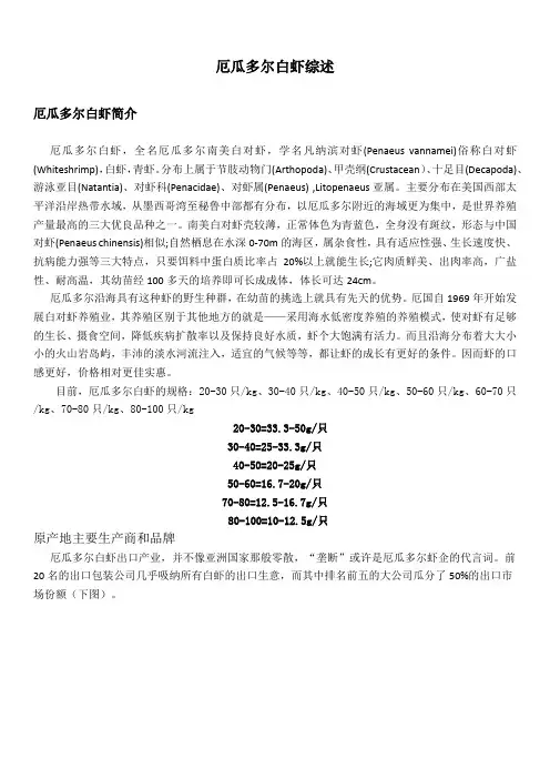 厄瓜多尔白虾全面专业知识介绍