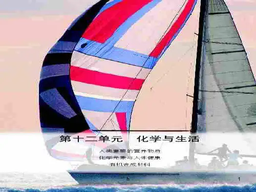 初三化学下学期课题1 人类重要的营养物质-PPT课件