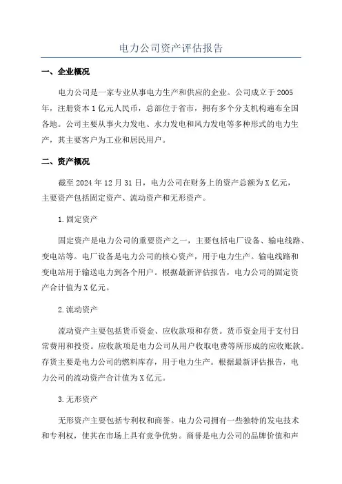 电力公司资产评估报告