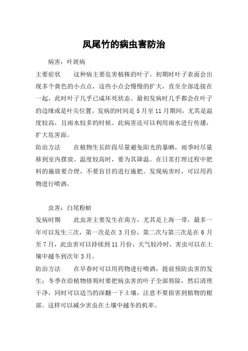 凤尾竹的病虫害防治