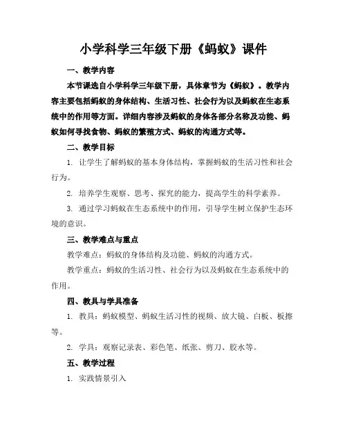 小学科学三年级下册《蚂蚁》课件