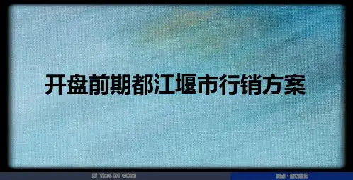 2014年5月开盘前期都江堰市行销方案