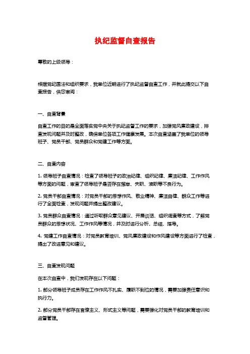 执纪监督自查报告 (2)