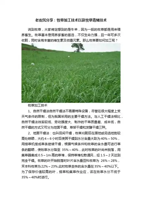 老农民分享：牧草加工技术以及牧草青储技术