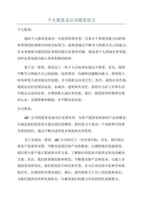 个人愿景及公司愿景范文