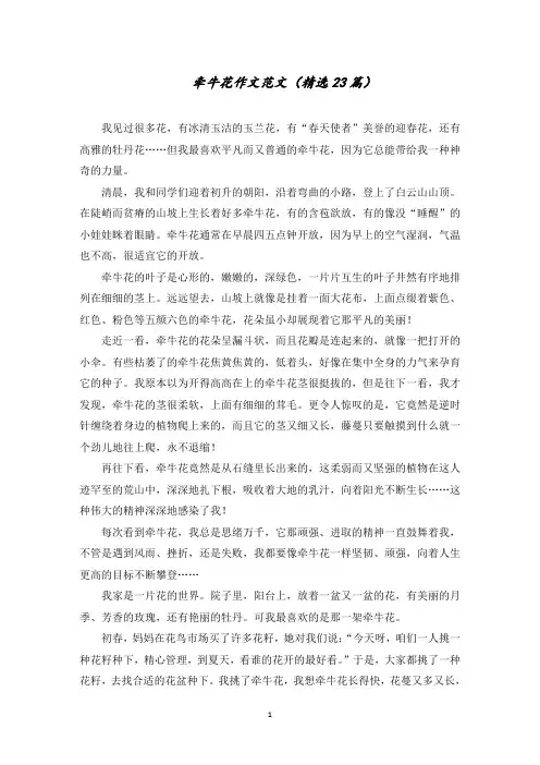 牵牛花作文范文(精选23篇)范文精选