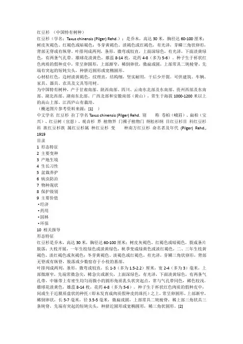 红豆杉 (中国特有树种)