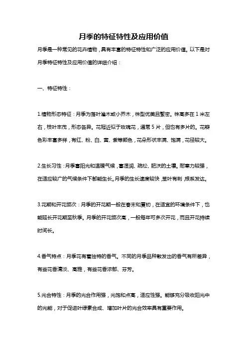 月季的特征特性及应用价值