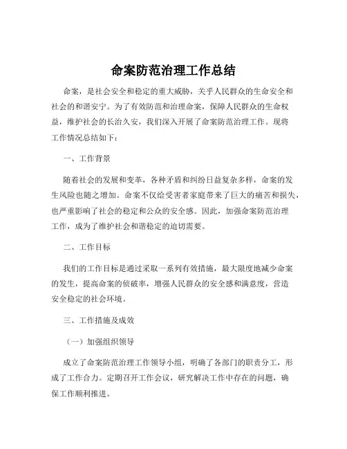 命案防范治理工作总结