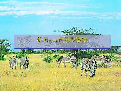 七年级生物 显微镜课件