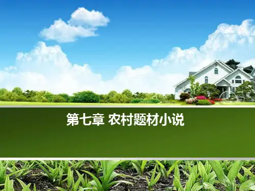 农村题材小说