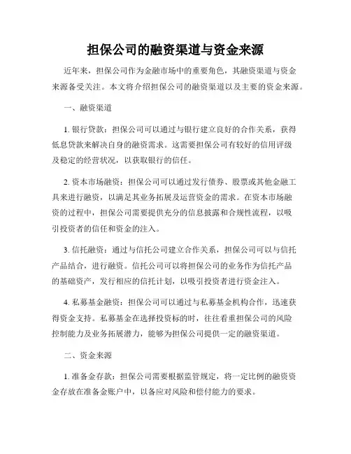 担保公司的融资渠道与资金来源